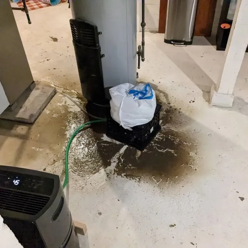Sewage Backup Cleanup Service in Nashville, GA
